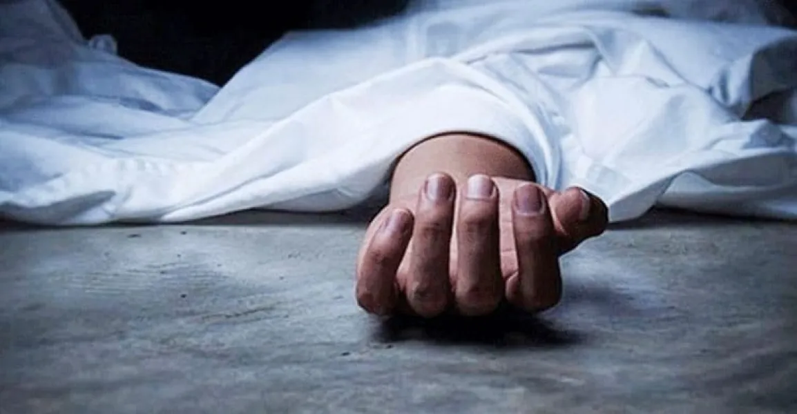 সংযুক্ত ছবি
