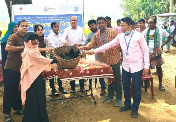 কচ্ছপিয়ায় ১৫৮ কৃষক পরিবারে দেশি মুরগি বিতরণ তামাক চাষ থেকে টেকসই কৃষিতে স্থানান্তরের উদ্যোগ