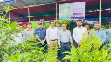 পেকুয়ায় ৩ দিনব্যাপী বৃক্ষমেলার উদ্বোধন